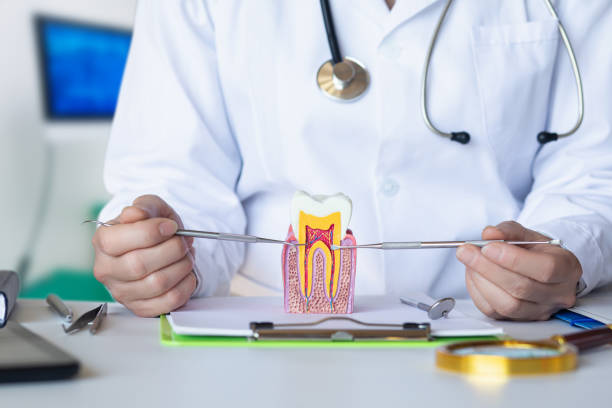 Best Pediatric Emergency Dentist in Stonewall, LA